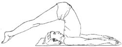 Terapia prin meditatie de Stefan Pusca pozitia plugului (Halasana)