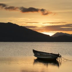 Destinul sufletului cu Elisabeta Vultur